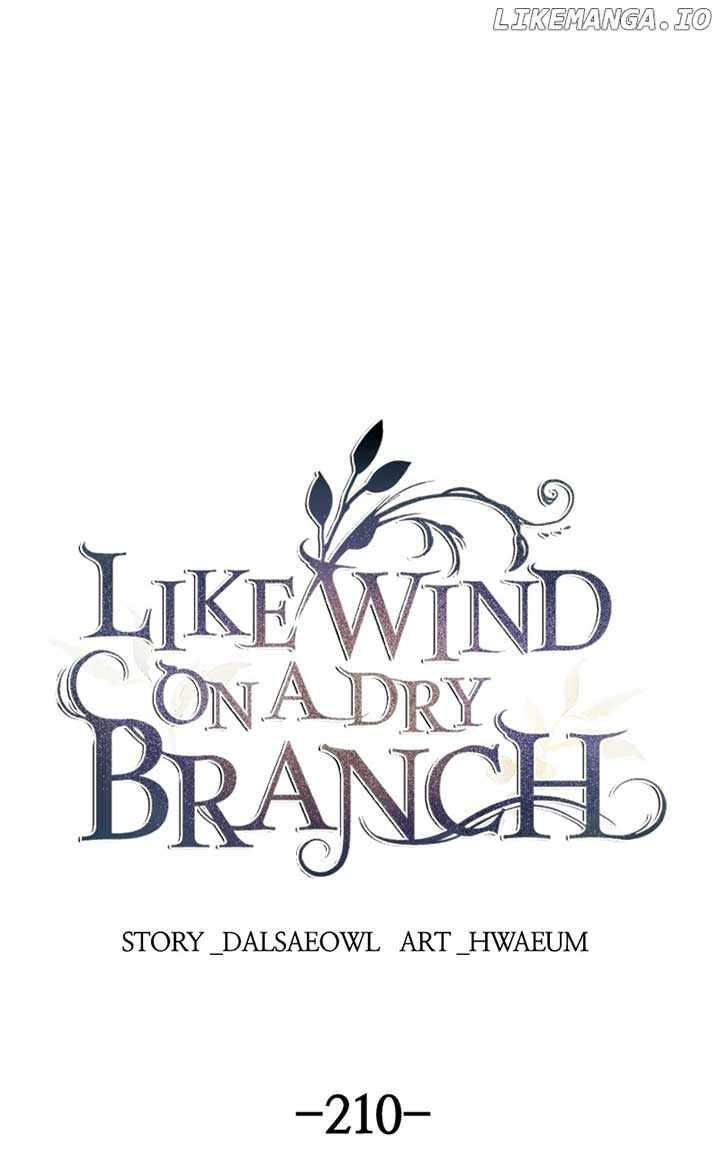 Like A Wind On A Dry Branch Chapter 210 page 0