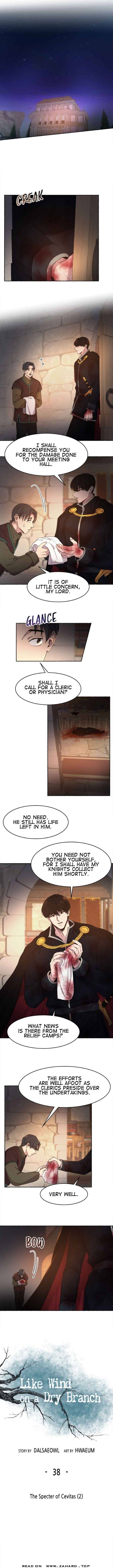 Like A Wind On A Dry Branch Chapter 38 page 0