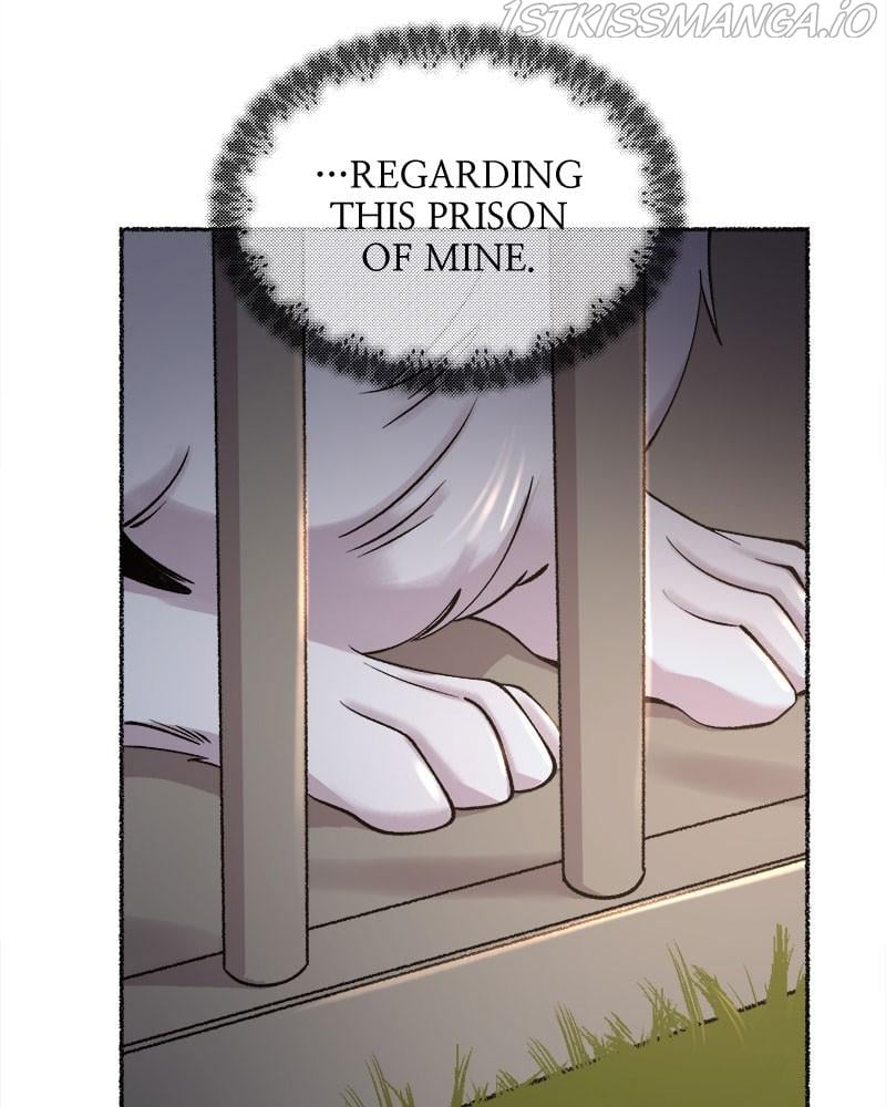 Like A Wind On A Dry Branch Chapter 83 page 13