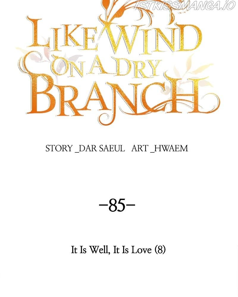 Like A Wind On A Dry Branch Chapter 85 page 74
