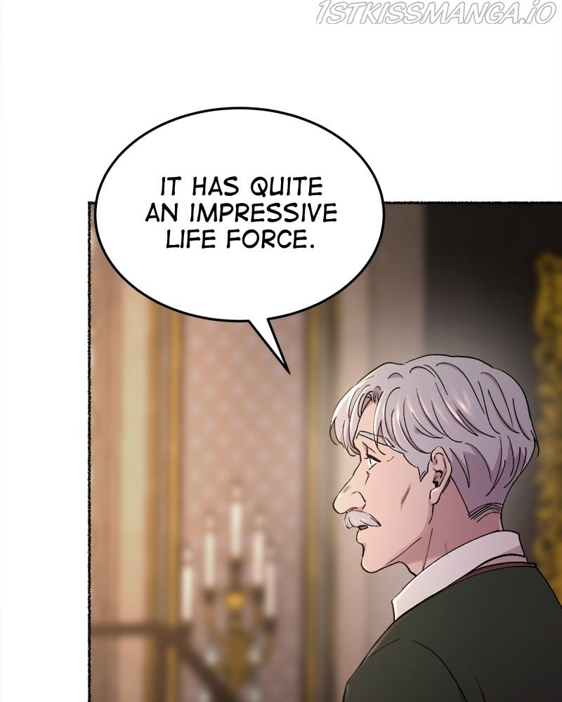 Like A Wind On A Dry Branch Chapter 94 page 109