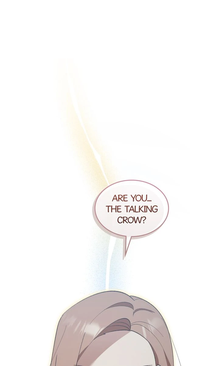 Love From Every Direction Chapter 27 page 0