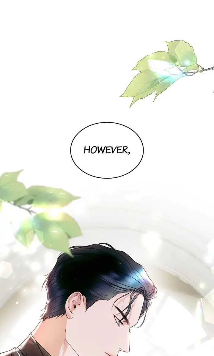 Marriage Contract With Two Husbands Chapter 1 page 11