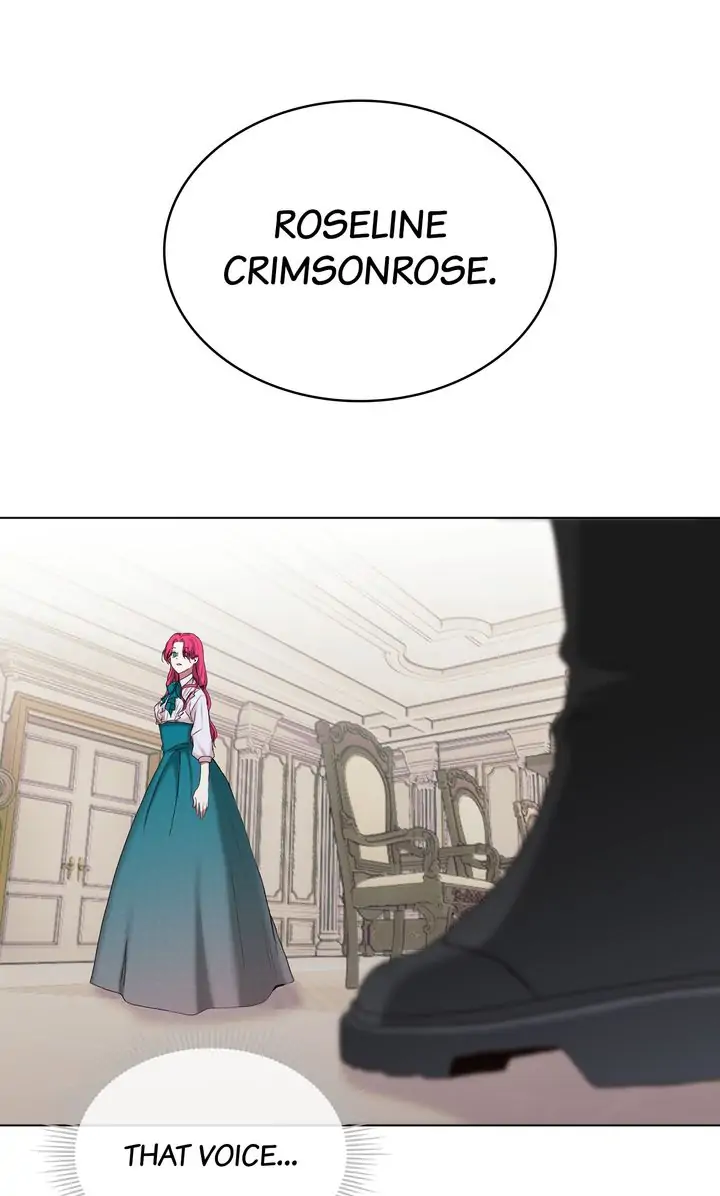 Marriage Contract With Two Husbands Chapter 2 page 49