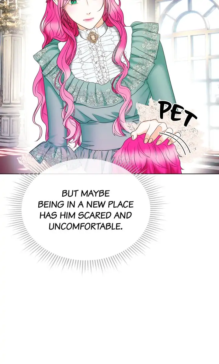 Marriage Contract With Two Husbands Chapter 9 page 65
