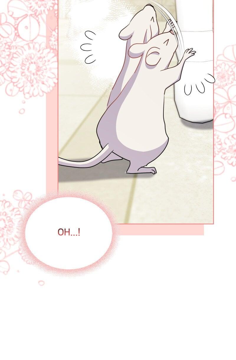 More Than You Know Chapter 63 page 44
