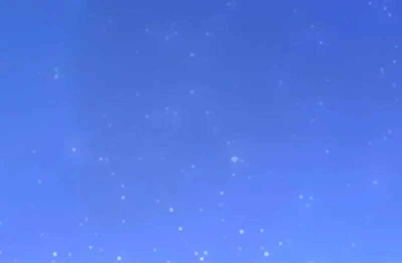 My Classmate Disappeared Chapter 5 page 57