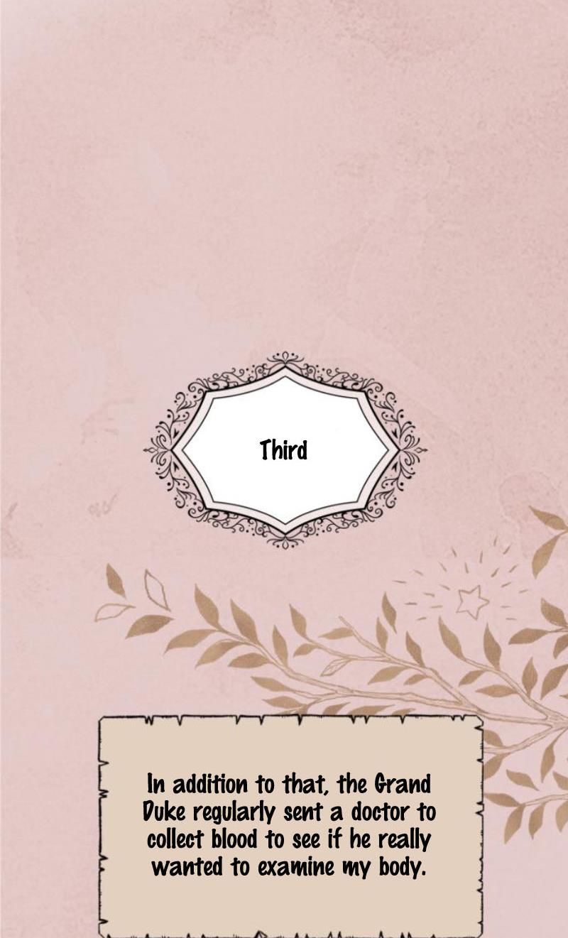 My In-laws are Obsessed With Me Chapter 11 page 21