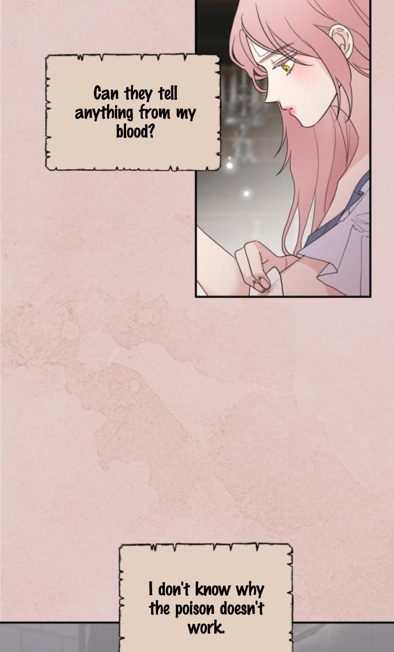My In-laws are Obsessed With Me Chapter 11 page 23