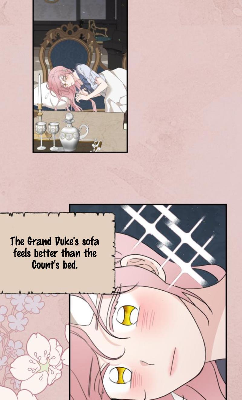My In-laws are Obsessed With Me Chapter 11 page 27