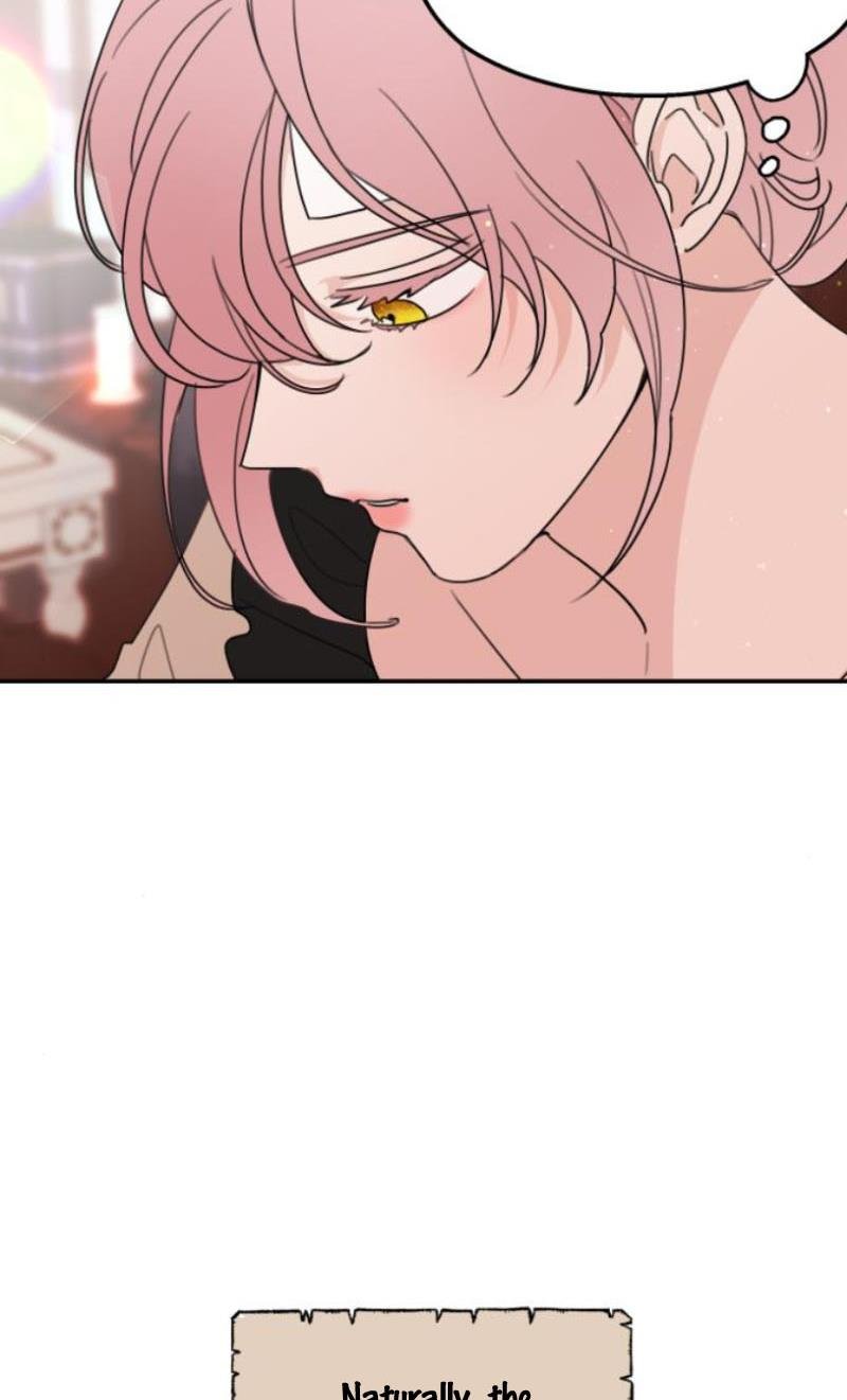 My In-laws are Obsessed With Me Chapter 11 page 3