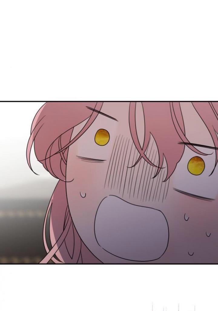 My In-laws are Obsessed With Me Chapter 14 page 11