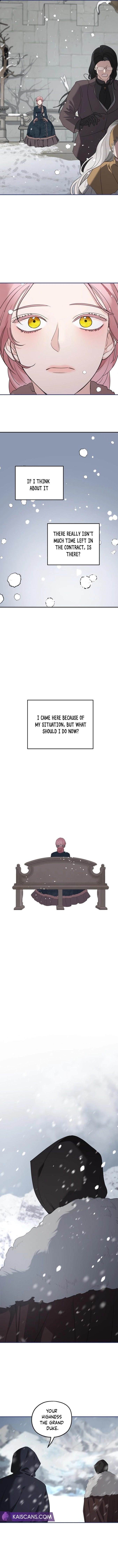 My In-laws are Obsessed With Me Chapter 85 page 9