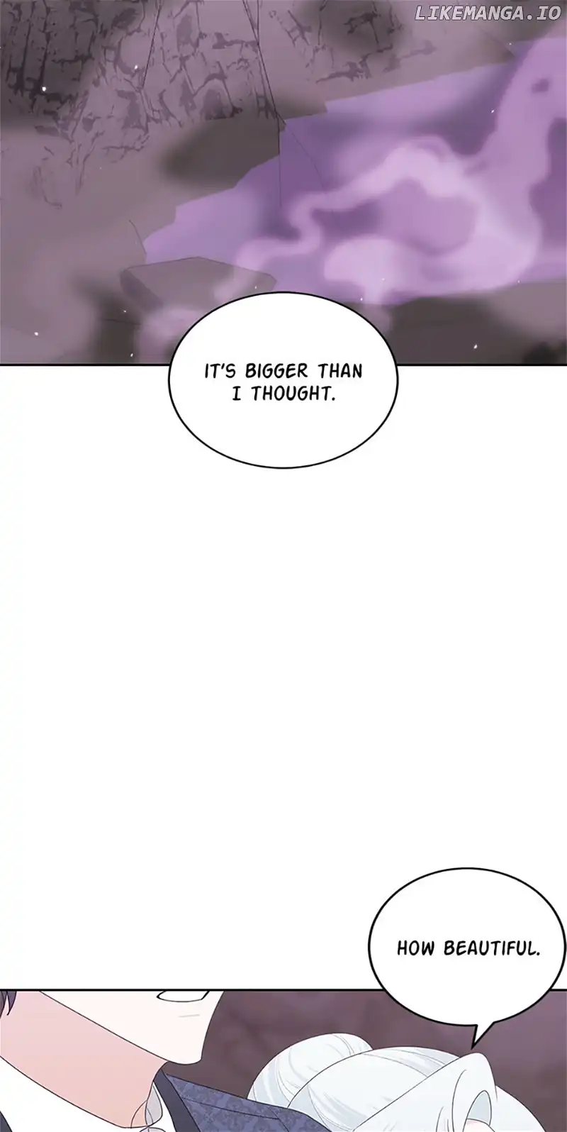 My tyrant’s husband somehow became cautious Chapter 62 page 28