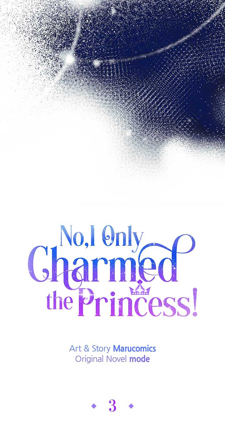 No, I Only Charmed the Princess! Chapter 3 page 48