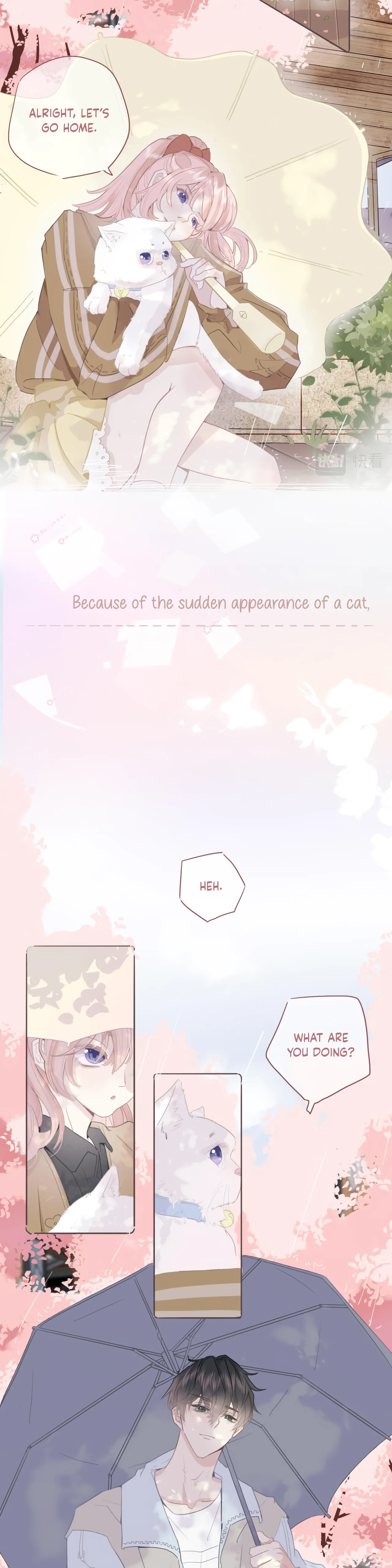Notes on Cherry Blossom Chapter 0.1 page 3