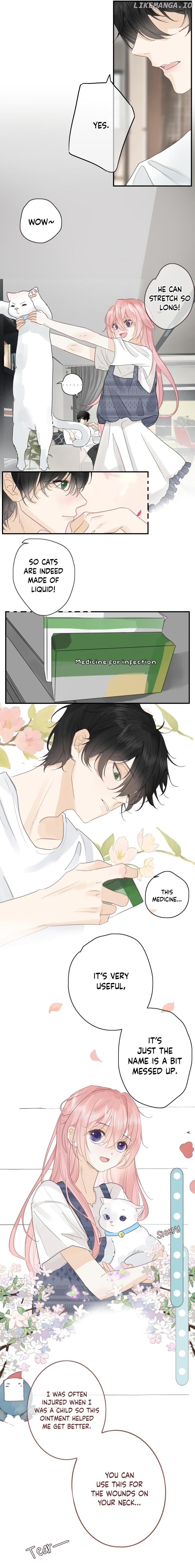 Notes on Cherry Blossom Chapter 11 page 5