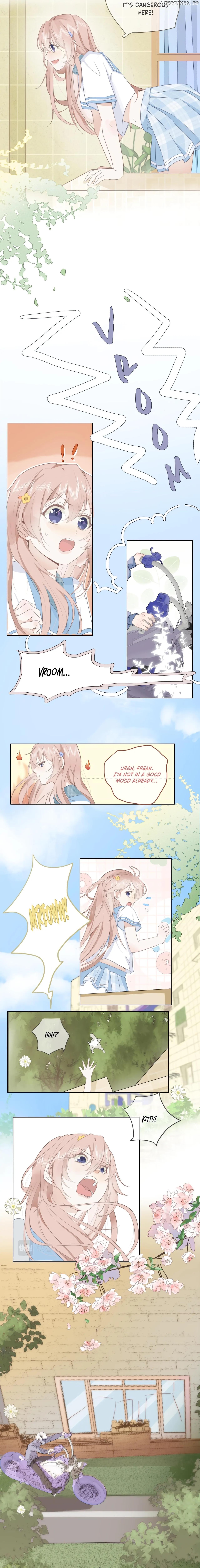 Notes on Cherry Blossom Chapter 2 page 2