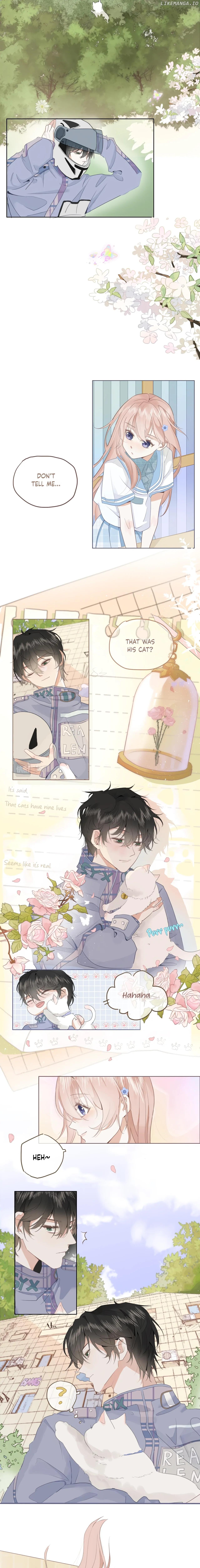 Notes on Cherry Blossom Chapter 2 page 3