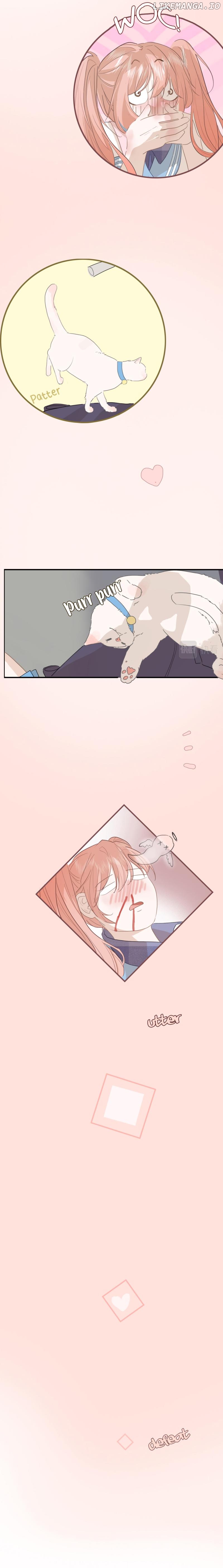 Notes on Cherry Blossom Chapter 7 page 10