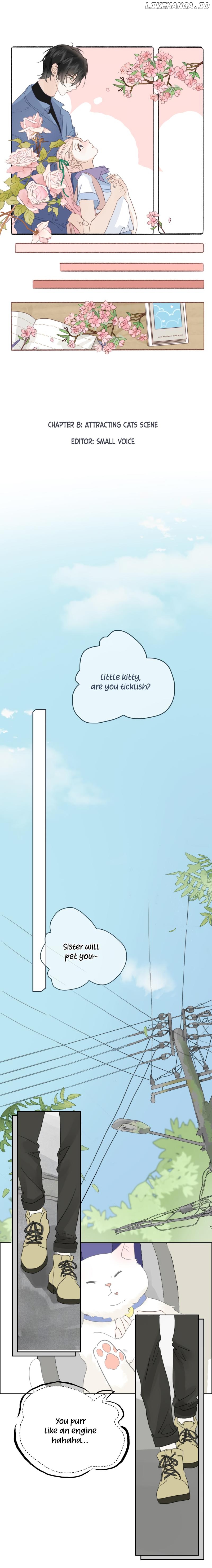 Notes on Cherry Blossom Chapter 8 page 0