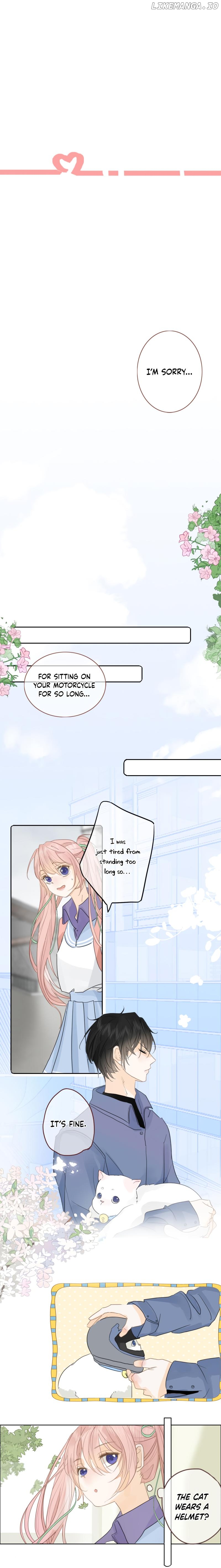 Notes on Cherry Blossom Chapter 8 page 3