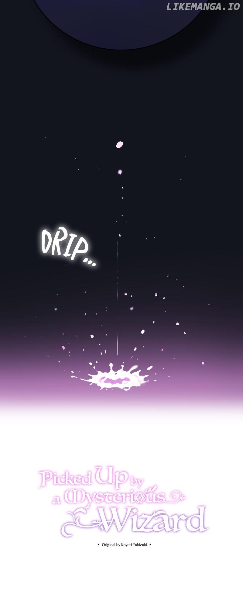 Picked Up by a Mysterious Wizard Chapter 1 page 9