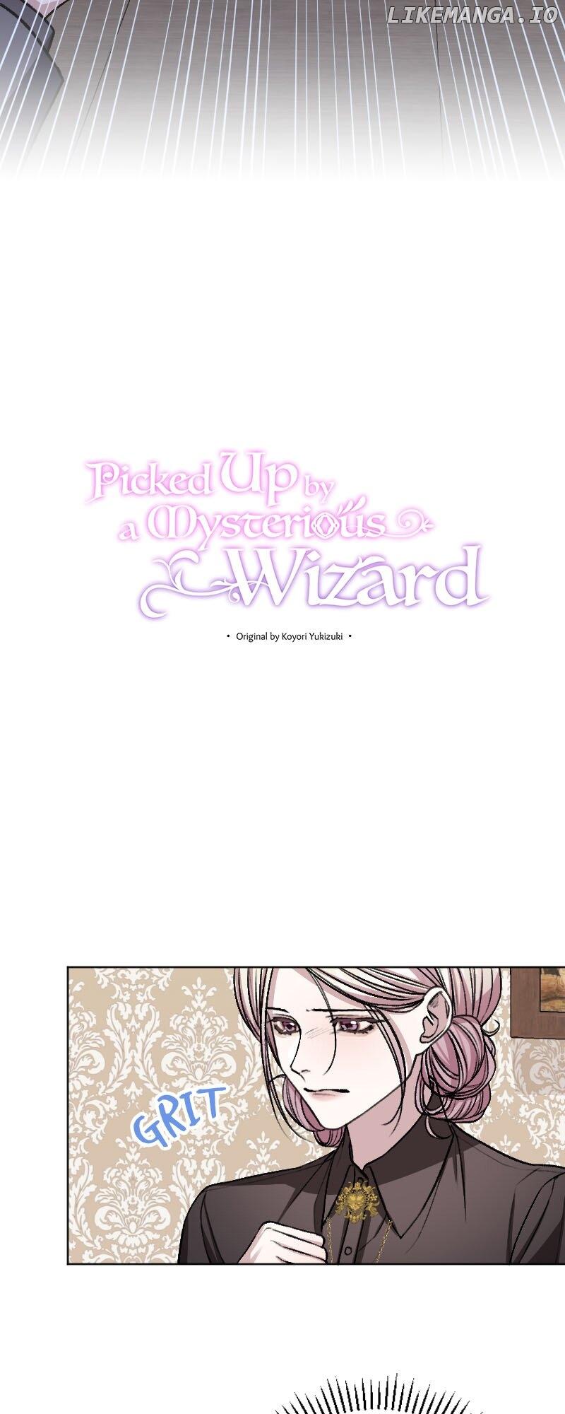 Picked Up by a Mysterious Wizard Chapter 17 page 17