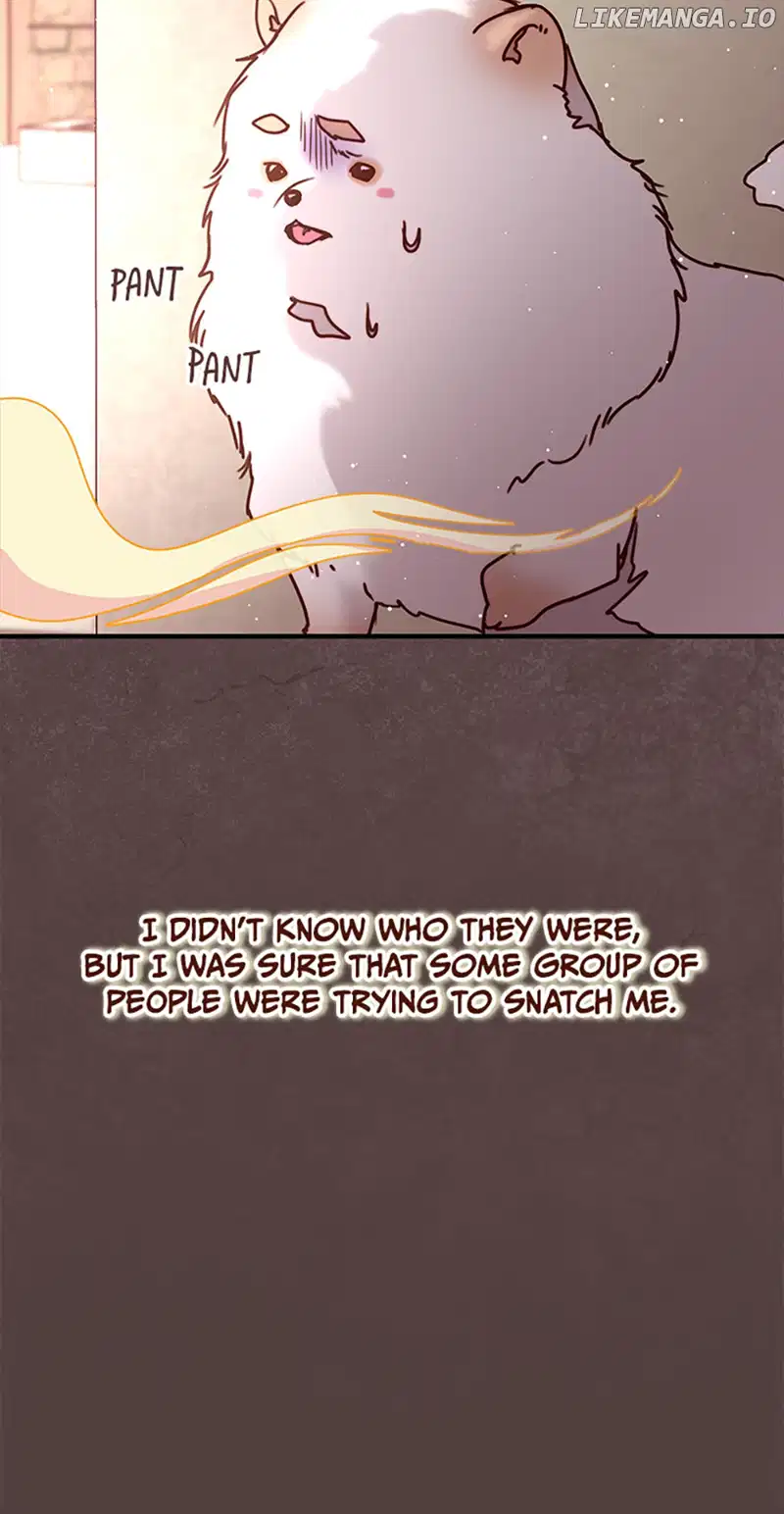 Please, Forget About Vivian Chapter 38 page 13