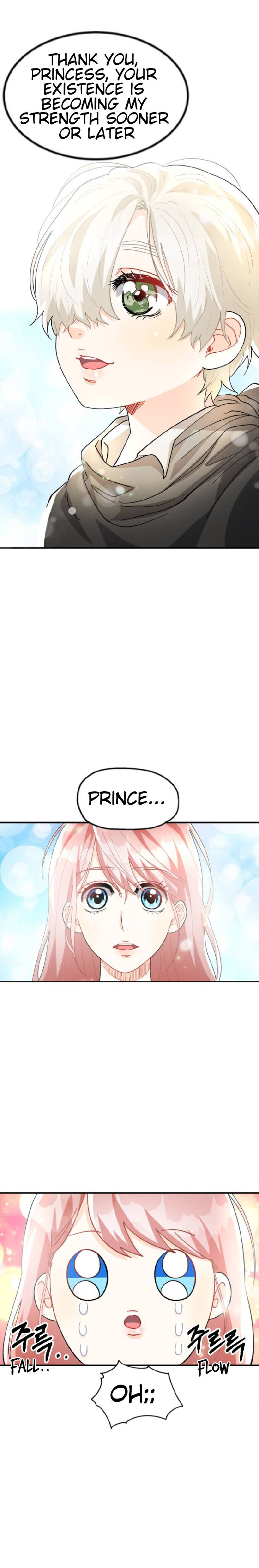 Prince Maker Chapter 8 page 17
