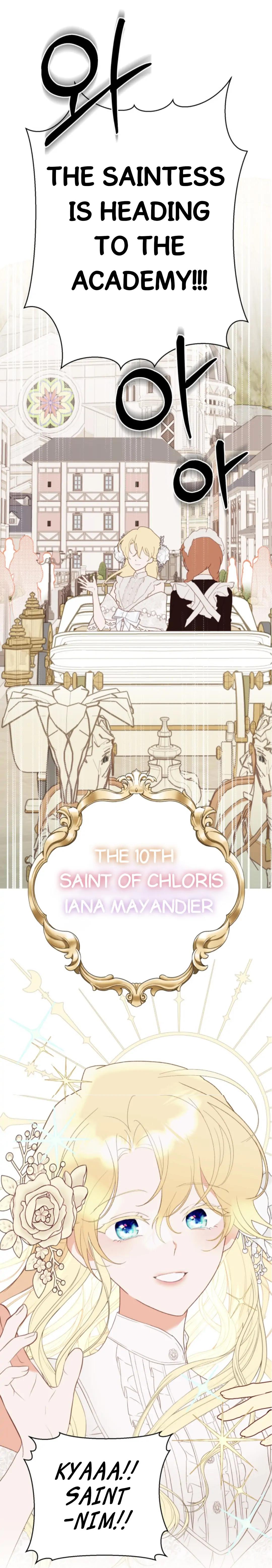 Protect the Fake Saint! Chapter 1 page 3
