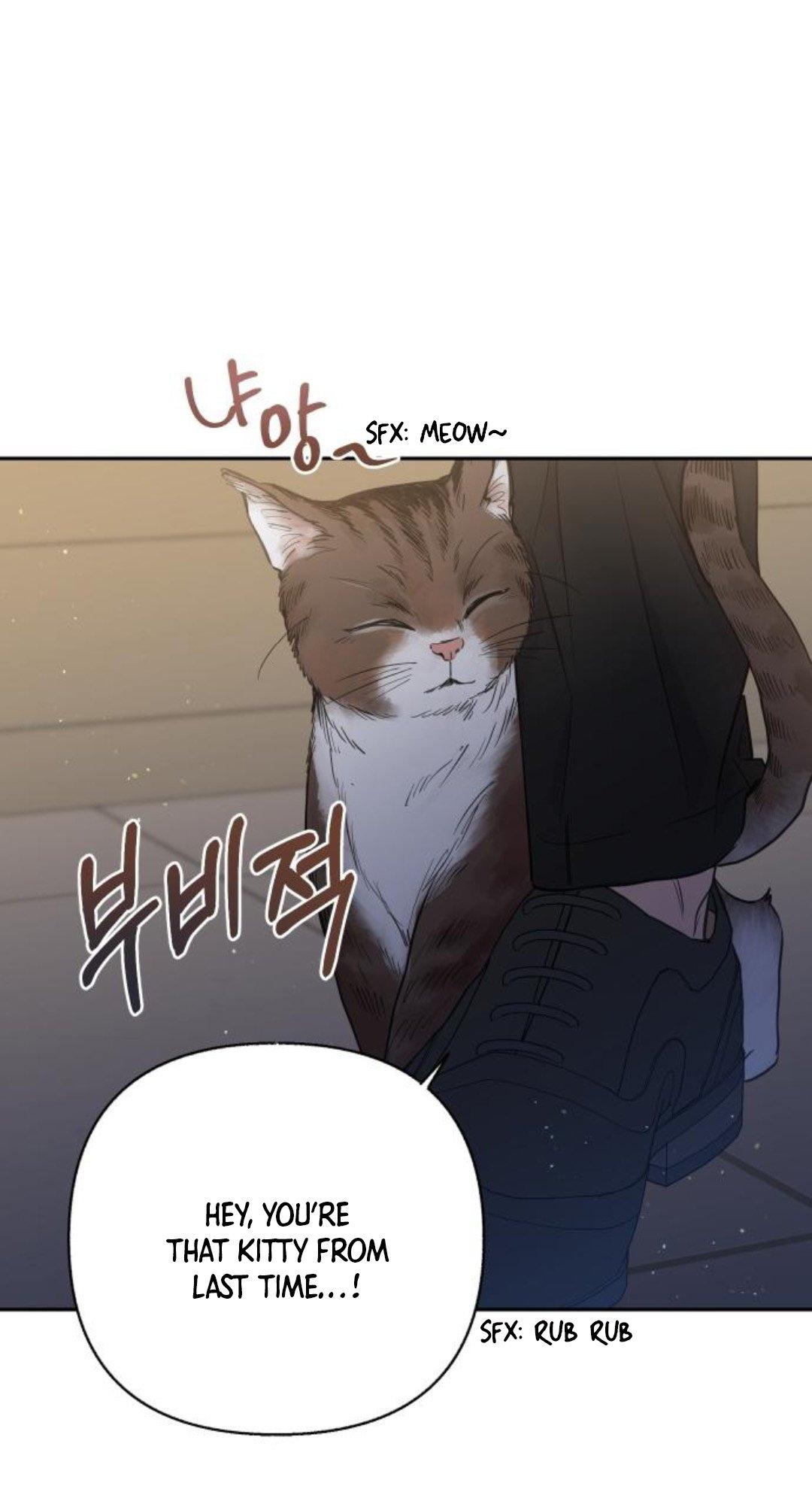 Really Truly Getting a Divorce Chapter 26 page 71