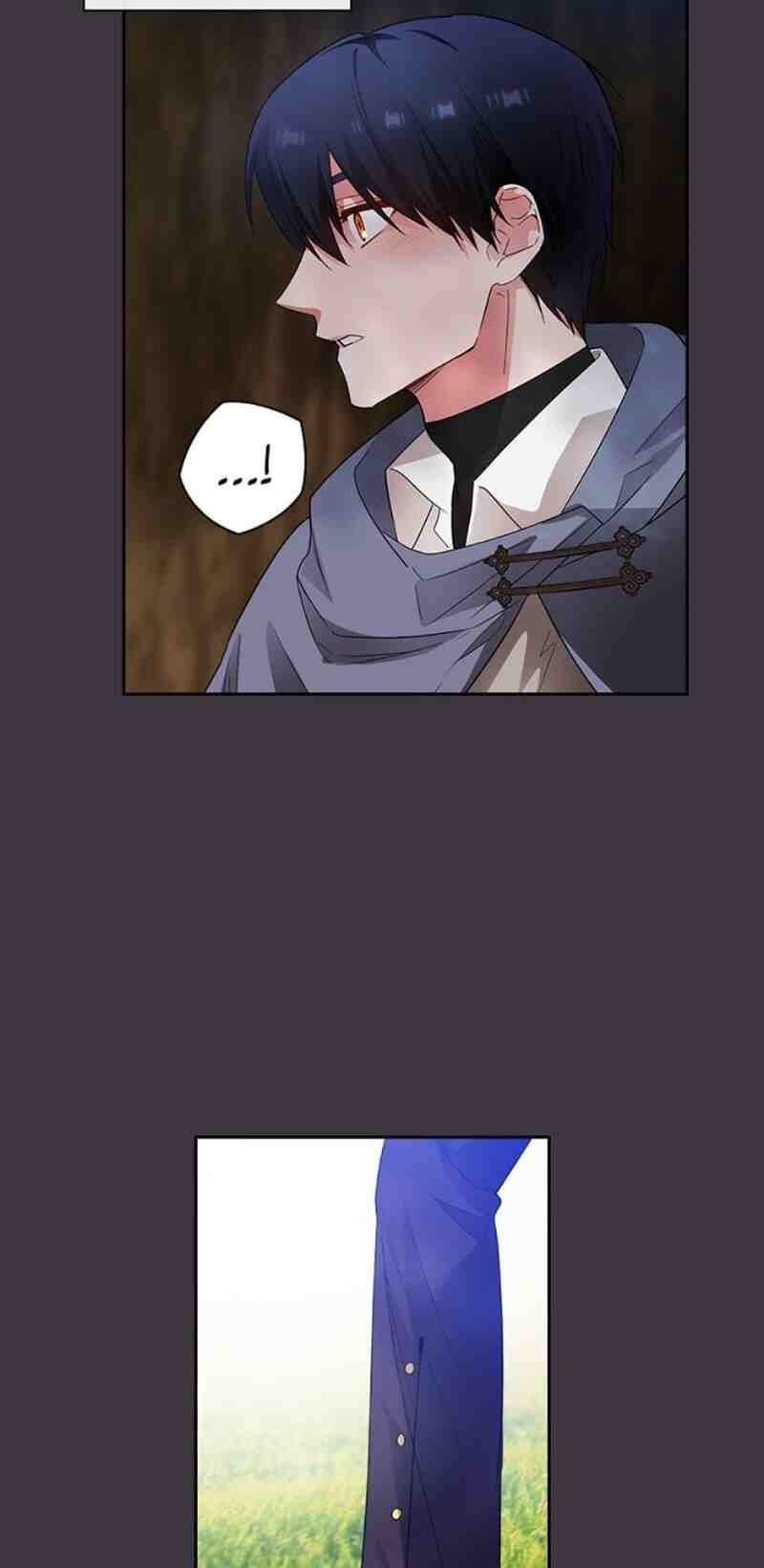 Reminiscence Adonis Chapter 172 page 30