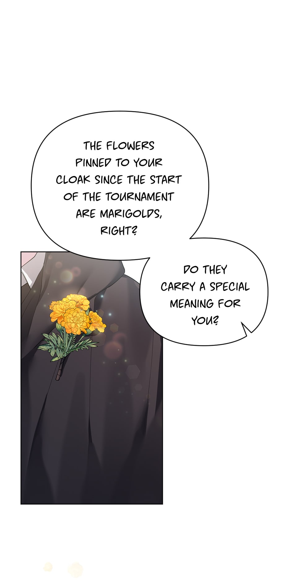 Starting from Today, I’m a Princess? Chapter 60.5 page 9