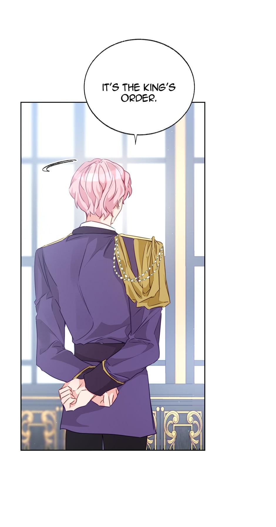 Stealing The Lady’s Heart Chapter 47 page 66