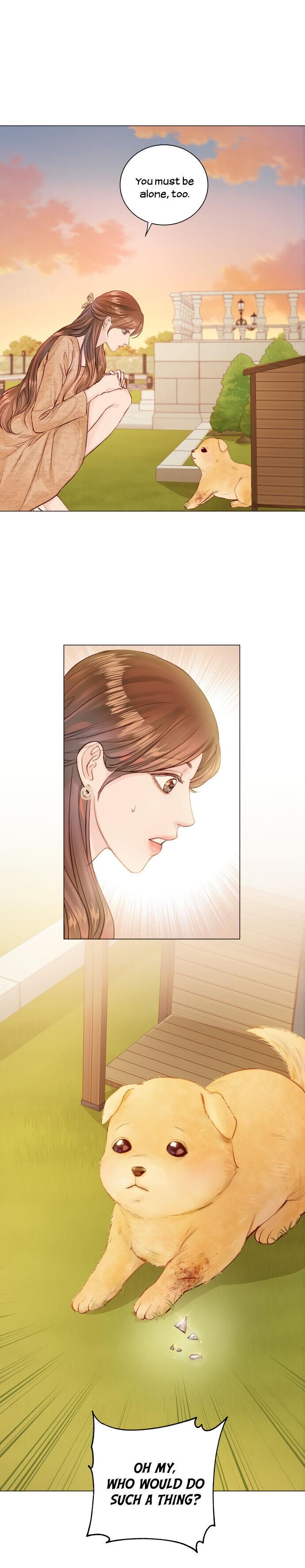 Surely a Happy Ending Chapter 1 page 20