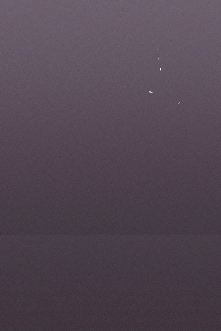 Tears on a Withered Flower Chapter 50 page 123