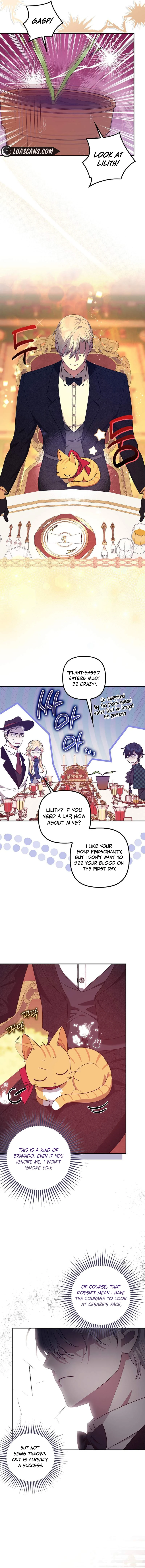 The Abandoned Bachelorette Enjoys Her Simple Life Chapter 61 page 9