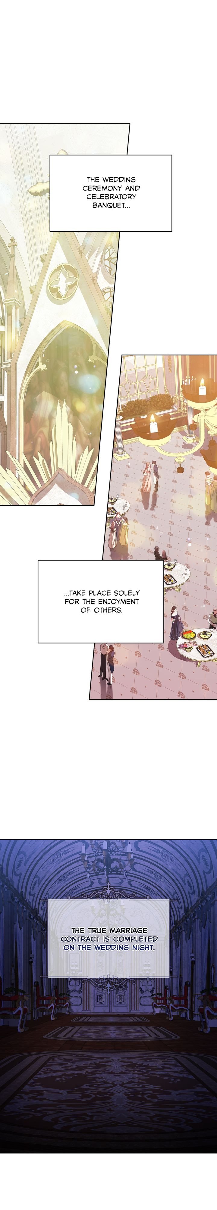 The Broken Ring: This Marriage Will Fail Anyway Chapter 17 page 0