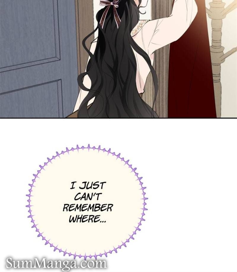 The Corrupted Witch Has No Choice But to Become a Villain Chapter 9 page 10