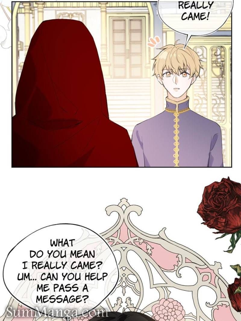 The Corrupted Witch Has No Choice But to Become a Villain Chapter 9 page 13