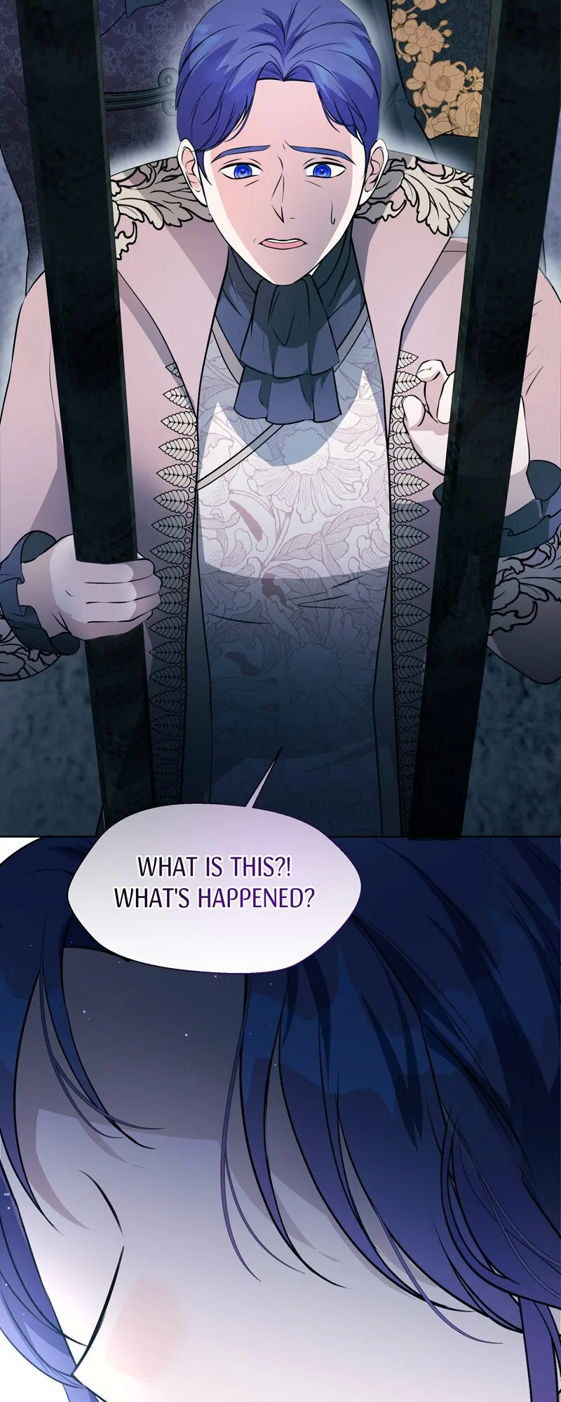 The Dame In Shining Armor Chapter 14 page 66