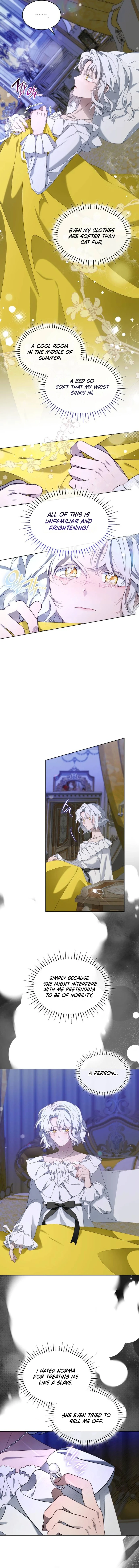 The Day The Real One Appeared Chapter 2 page 6