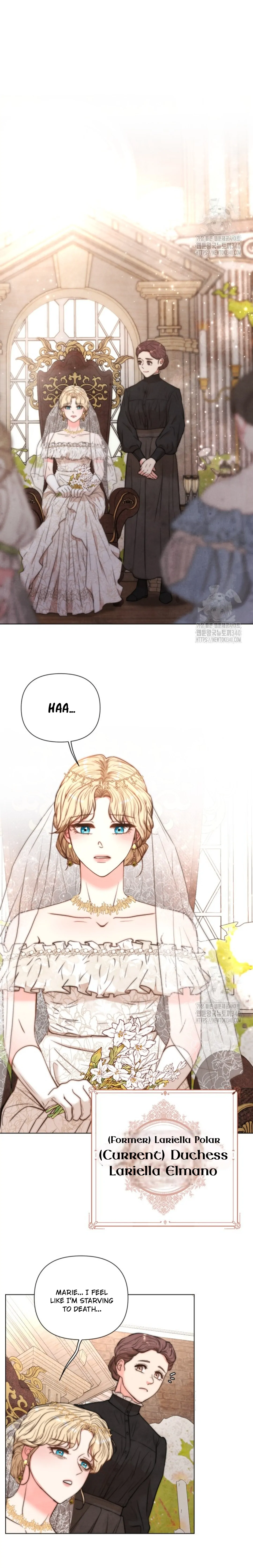The Duchess Wants To Do It Chapter 1 page 3