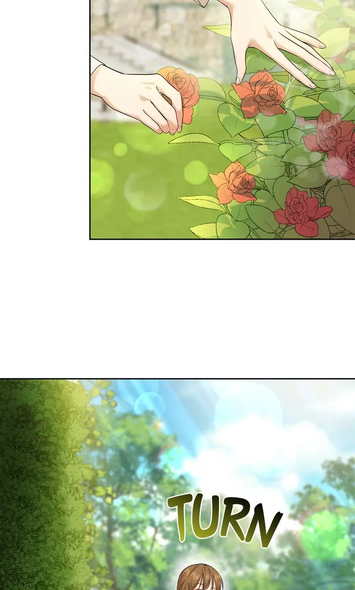 The Fairy Legacy Chapter 12 page 62