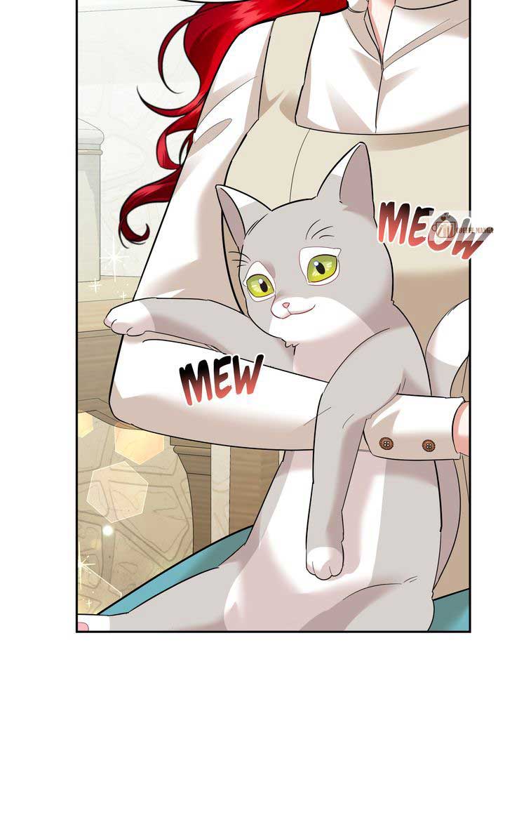 The Fairy Legacy Chapter 52 page 38