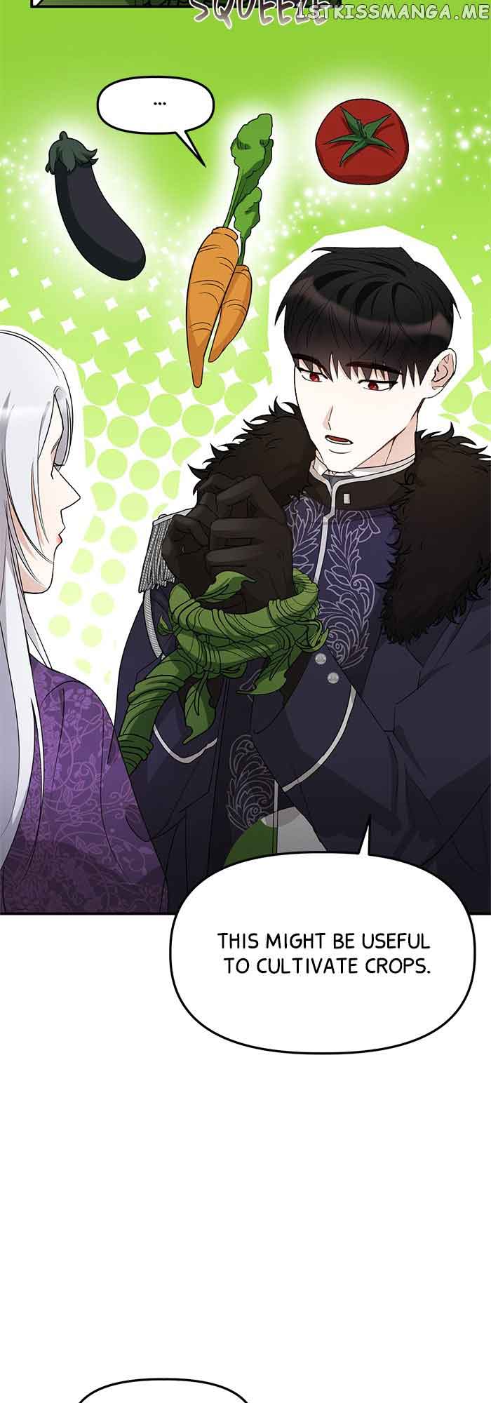 The Fake Duchess In Distresss Chapter 12 page 5