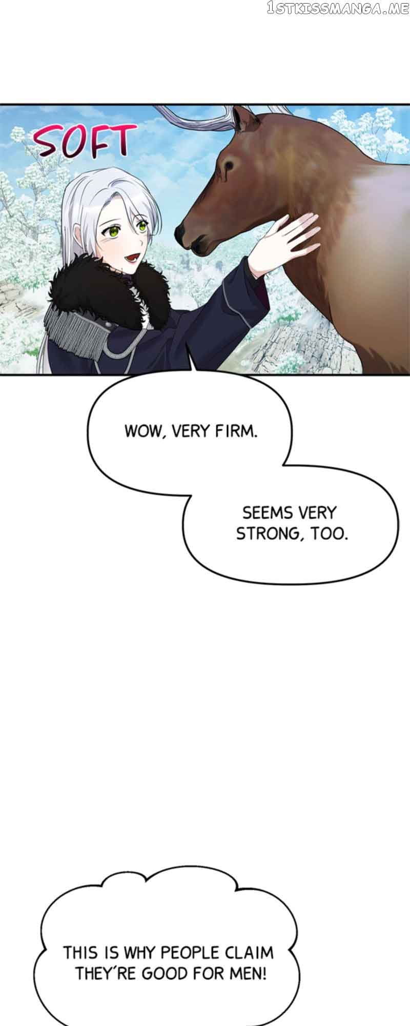 The Fake Duchess In Distresss Chapter 13 page 10