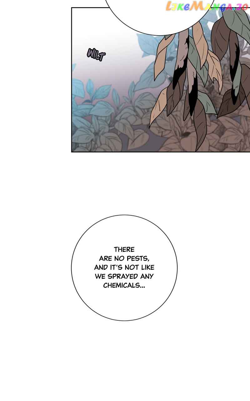 The Goddess’s Guide to Farming Chapter 39 page 3