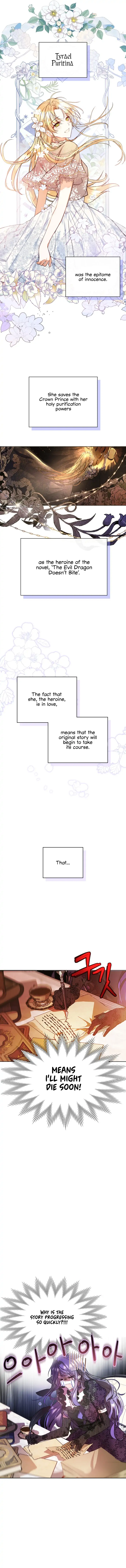 The Heroine Had an Affair with My Fiance Chapter 1 page 3